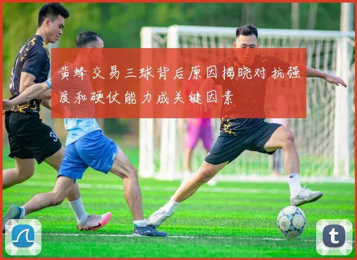 黄蜂交易三球背后原因揭晓对抗强度和硬仗能力成关键因素