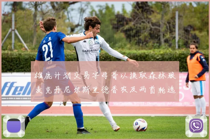 雄鹿计划交易字母哥以换取森林狼麦克丹尼尔斯里德香农及两首轮选秀权