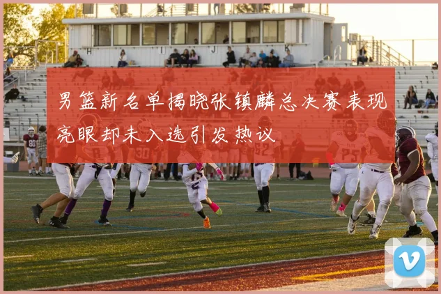 男篮新名单揭晓张镇麟总决赛表现亮眼却未入选引发热议