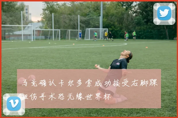 马竞确认卡尔多索成功接受右脚踝扭伤手术恐无缘世界杯